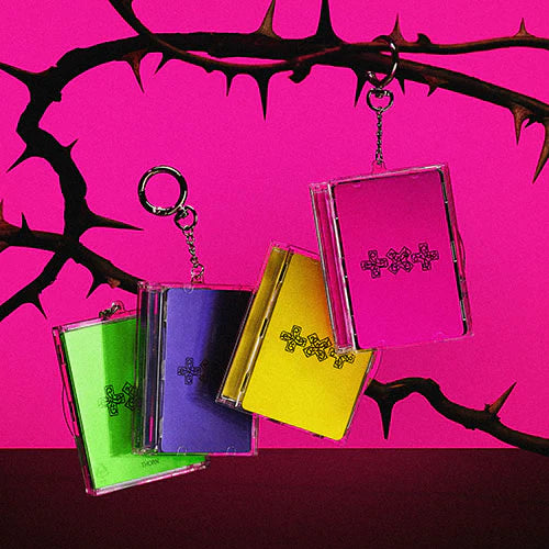 [PRE-ORDER] TOMORROW X TOGETHER (TXT) - 7TH YEAR: A MOMENT OF STILLNESS IN THE THORNS (PHOTOCARD CASE VER.)