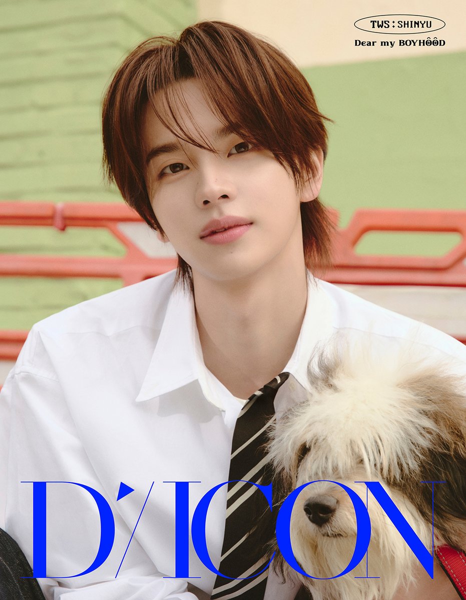 A-TYPE DICON VOLUME N°34 [TWS : DEAR MY BOYHOOD]