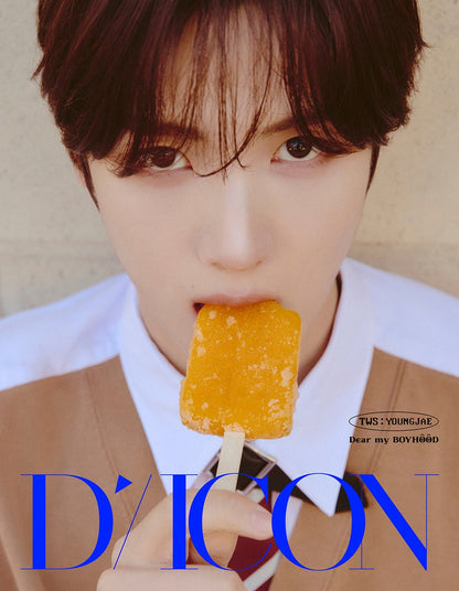 A-TYPE DICON VOLUME N°34 [TWS : DEAR MY BOYHOOD]