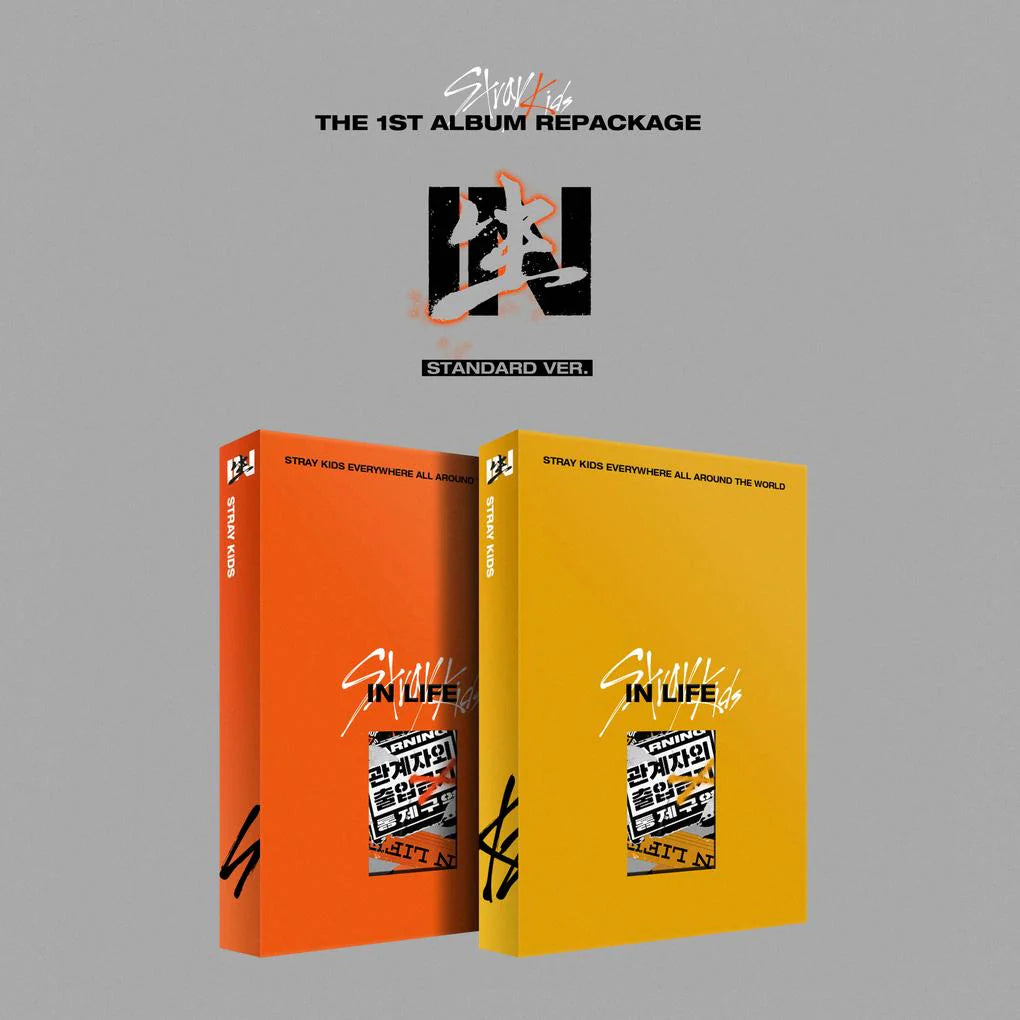 STRAY KIDS - VOL.1 REPACKAGE [IN LIFE]