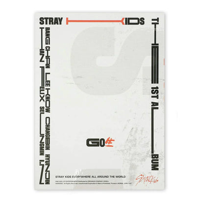 STRAY KIDS - VOL.1 [GO生]