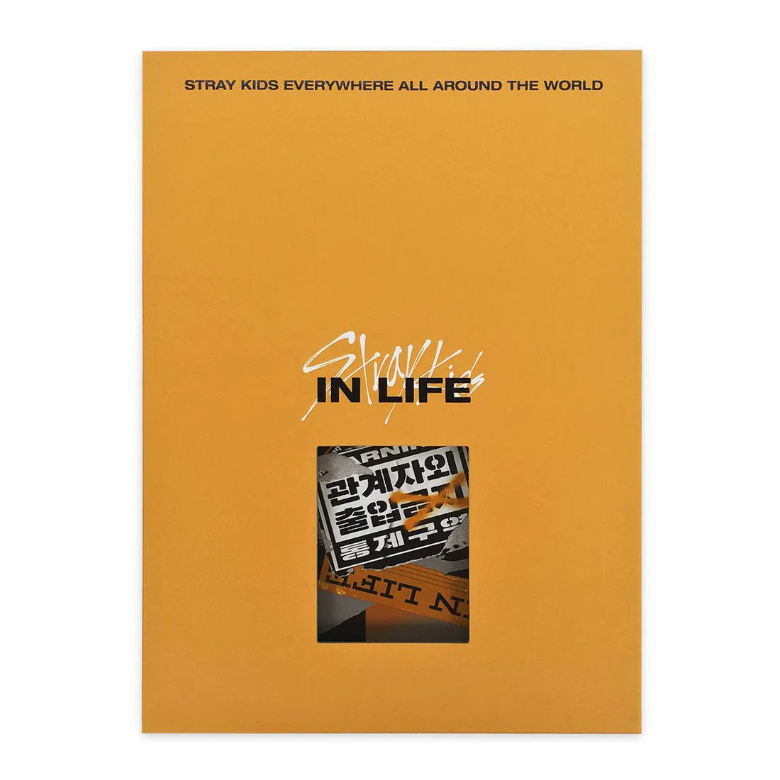 STRAY KIDS - VOL.1 REPACKAGE [IN LIFE]